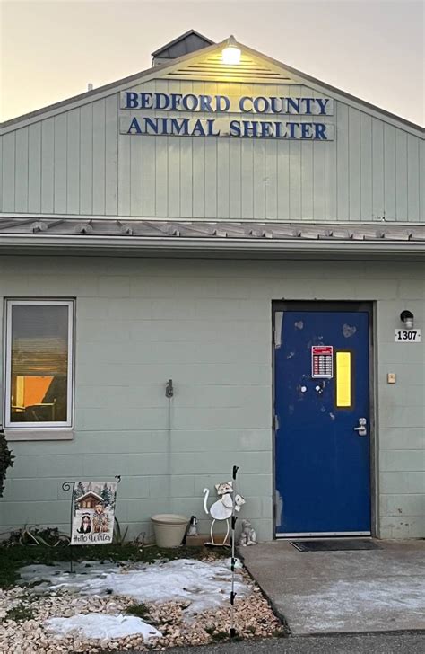 bedford county animal shelter