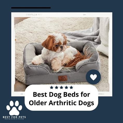 beds for older dogs