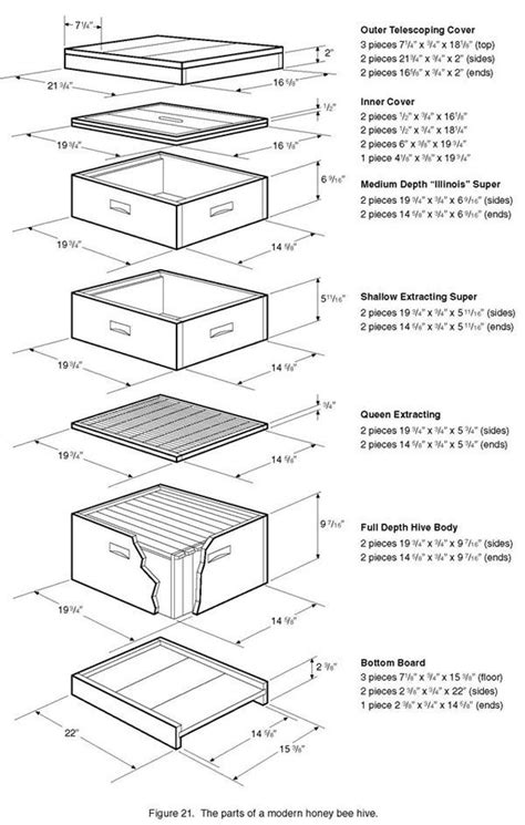 bee hive dimensions drawings Reader