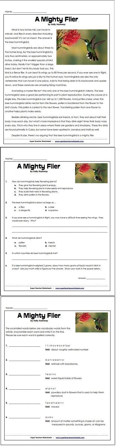 bee hummingbird super teacher worksheets Epub