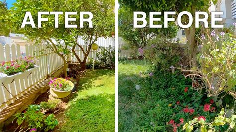 before and after garden makeovers Doc