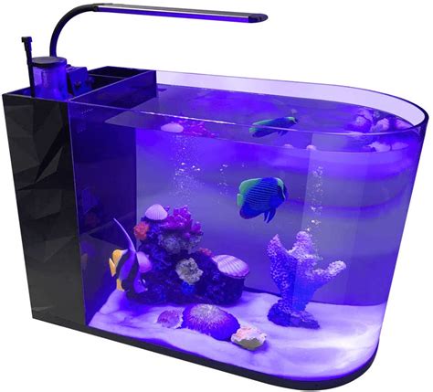 beginner marine tank