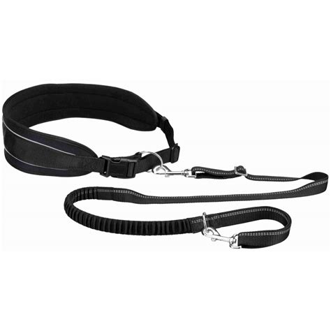 belly belt for dogs