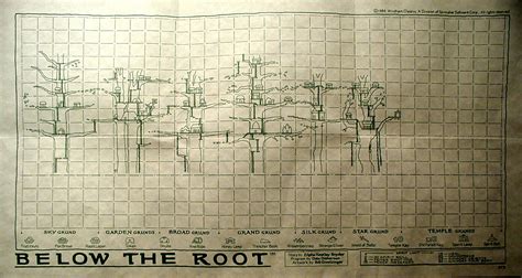 below the root where to get trencher beak