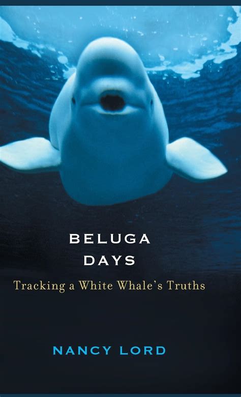 beluga days tracking a white whales truths Epub