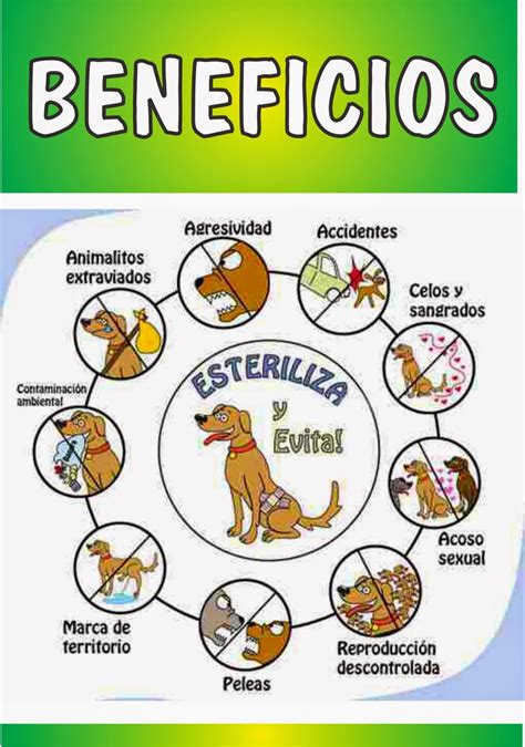 beneficios esterilizacion y castracion pdf informativo Doc