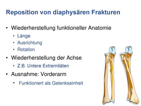 ber behandlung frakturen unteren extremit ten Doc