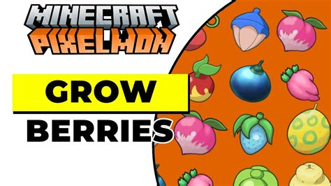 berries pixelmon