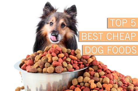 best and cheapest dog food