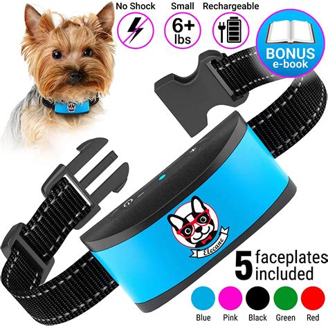 best bark collar for little dogs