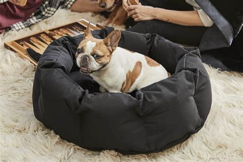 best dog beds for chewers