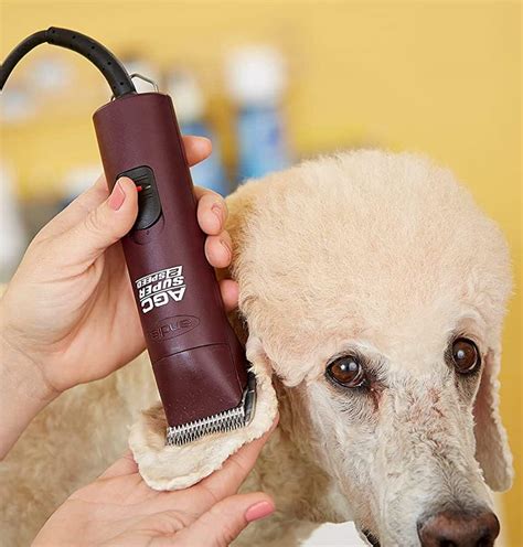 best dog clippers for grooming