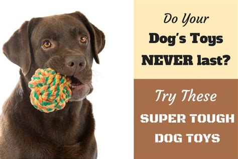 best dog toys for heavy chewers