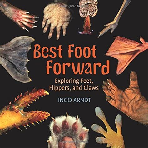 best foot forward exploring feet flippers and claws Reader