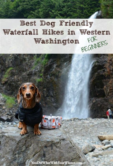 best hikes with dogs in western washington western washington Kindle Editon