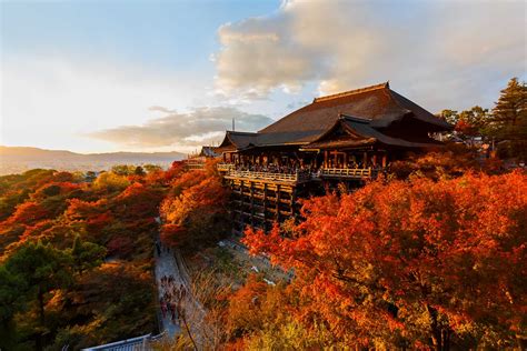 best things to do in kyoto