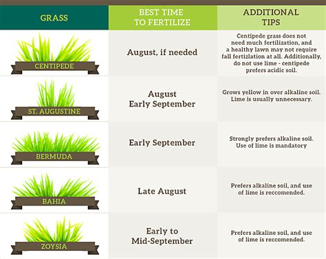 best time to fertilize a lawn