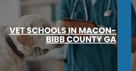 best vet schools in ga