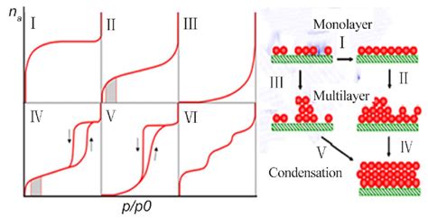 bet isotherm types