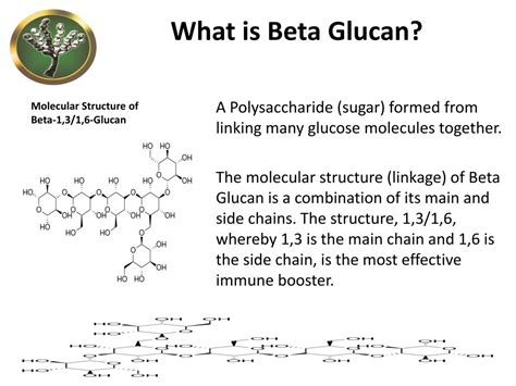 beta 1 3 1 6 glucan