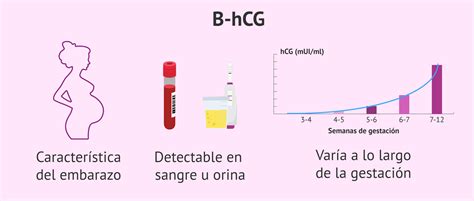 beta HCG