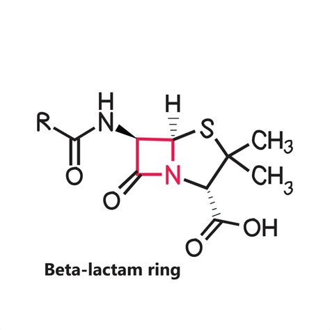 beta lactamico