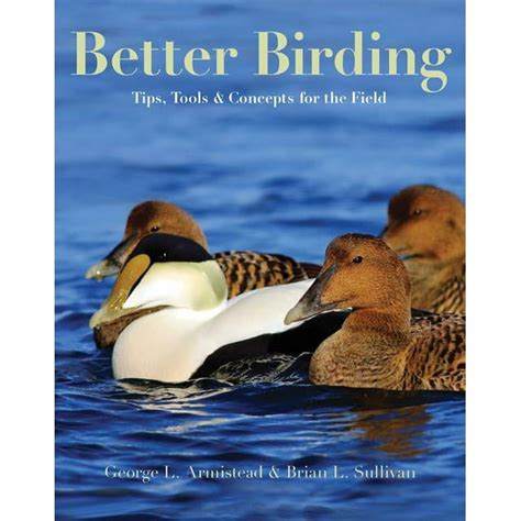 better birding tips tools and concepts for the field Doc