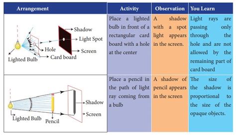 between light and shadow between light and shadow Epub