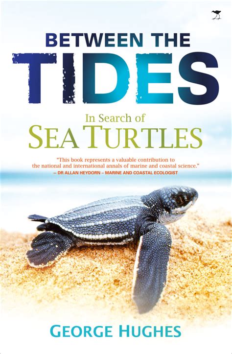 between the tides in search of sea turtles PDF