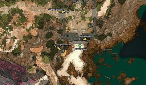 Bg3 Dank Crypt Walkthrough