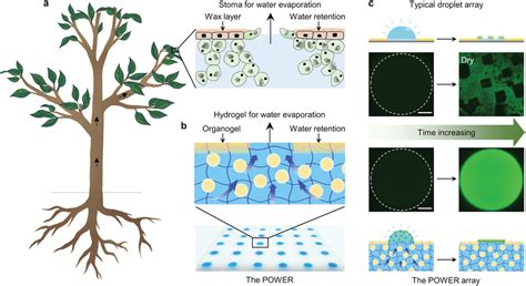 bgcix: The Transformative Power of Bio-Inspired Design