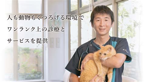 bibi 動物病院