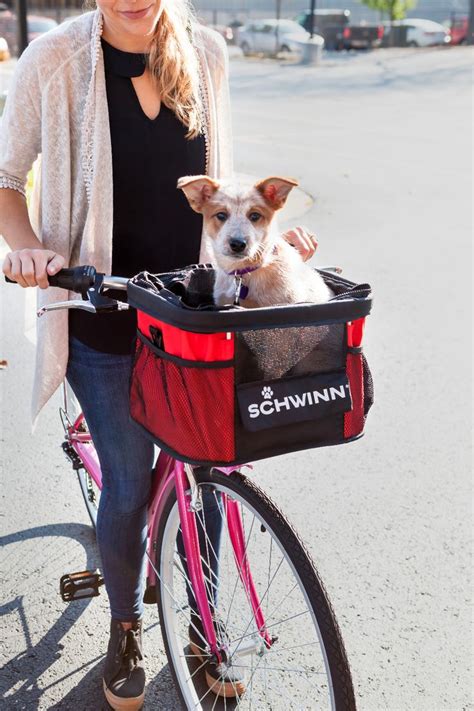 bicycle dog carrier