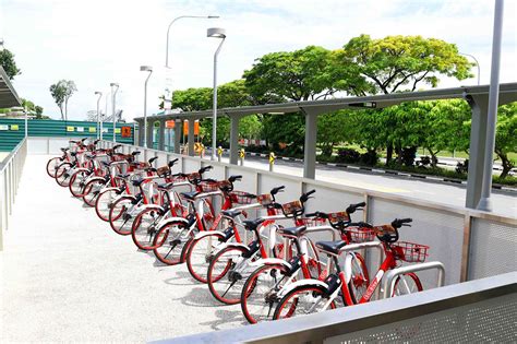 bicycle rental gardens by the bay