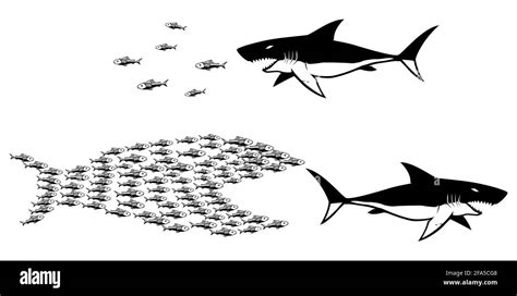 big fish with small fish