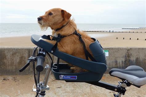 bike dog seats