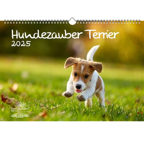 bild kalender hunde 2016 welpen wandkalender Epub