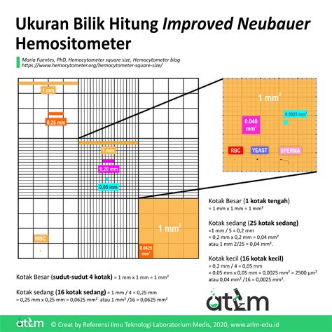 bilik hitung improved neubauer PDF