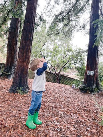 bing nursery school tuition Kindle Editon