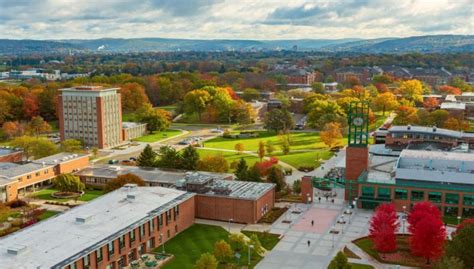 binghamton acceptance rate 2024