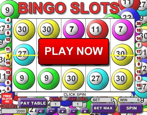 bingo slots casino