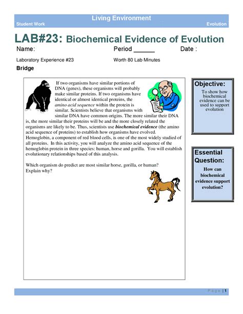 biochemical evidence for evolution lab key Epub