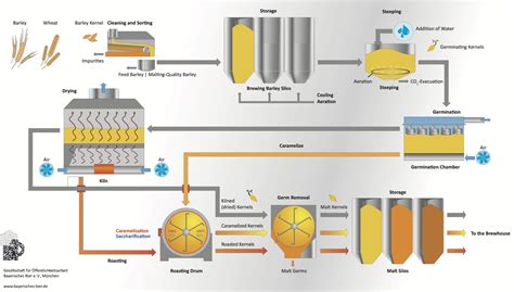 biochemistry applied brewing processes malting Kindle Editon