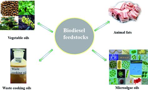 biodiesel production properties and feedstocks PDF