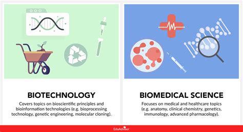 bioengineering vs biotechnology