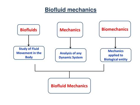 biofluid mechanics biofluid mechanics PDF