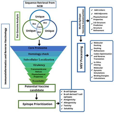 bioinformatics for vaccinology Reader