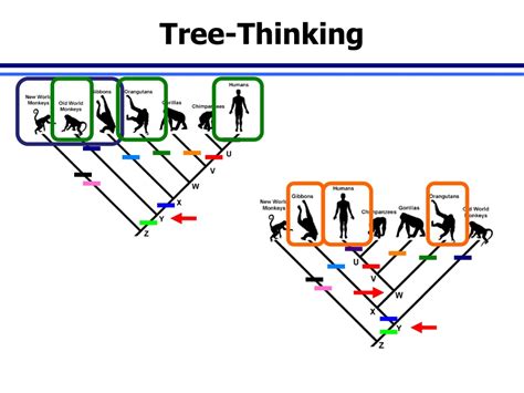 biological inquiry tree thinking case answers Kindle Editon