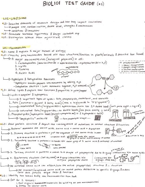 biology 101 exam study guide Kindle Editon