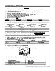 biology 12 human organization answer key Epub